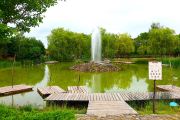 magiczne-06_13_2025_25
